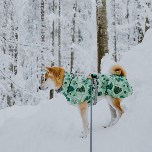 Image du produit Orbiloc Feu de sécurité à double LED (Taille unique, Chien, Général)