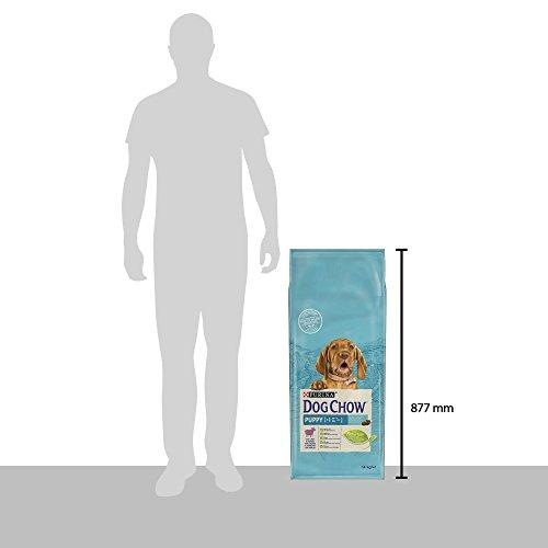 Actual product image Purina DOG CHOW Puppy with lamb 14kg (Puppy + kitten, 14000 g)