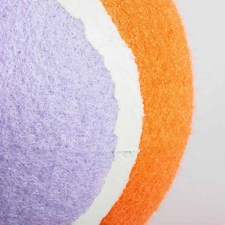 Immagine prodotto Coockoo Ball Fetch Me XL