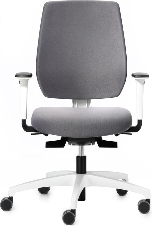 Actual product image Dauphin 7639 SLP1 (40 - 52 cm)