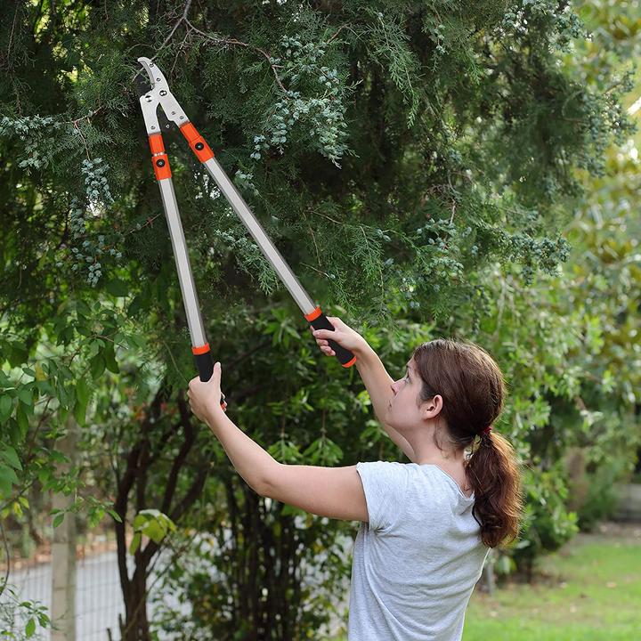 Image du produit Kurtzy Sécateur à enclume télescopique 67-100 cm