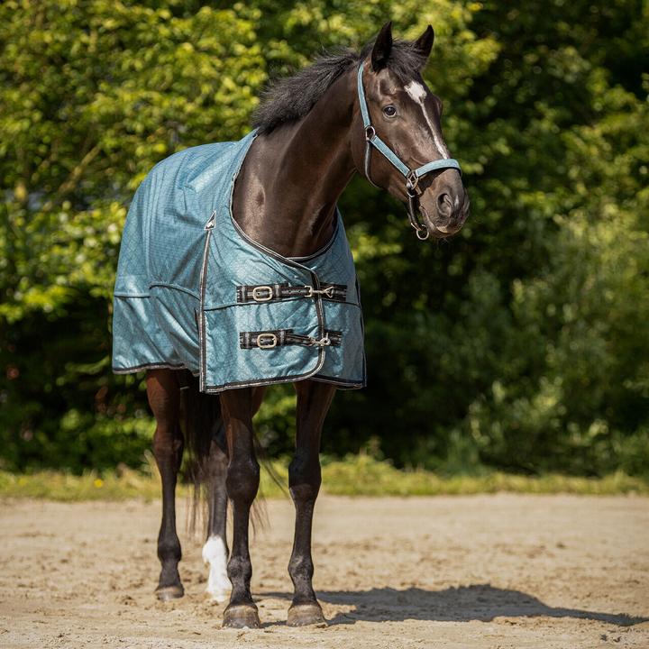 Immagine prodotto Qhp Coperta da paddock per cavalli (195 cm)
