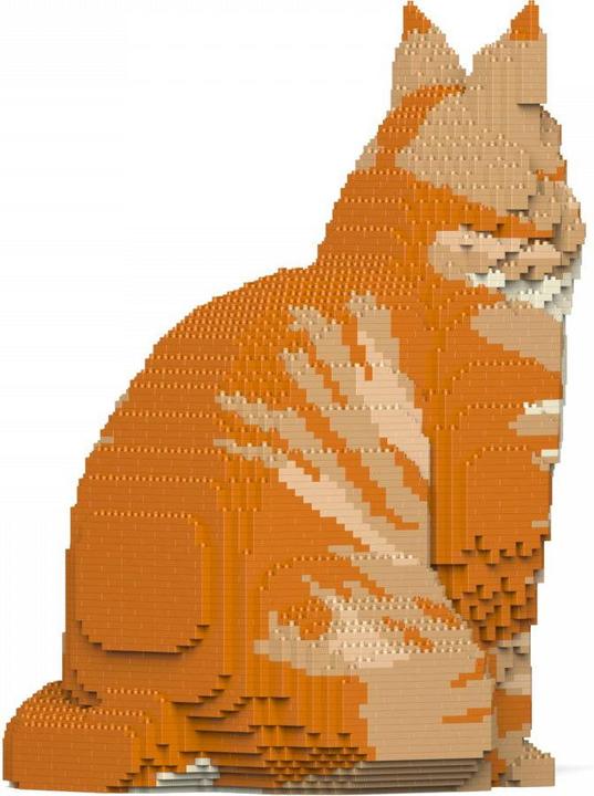 Image du produit Jekca Limited Chat Maine Coon