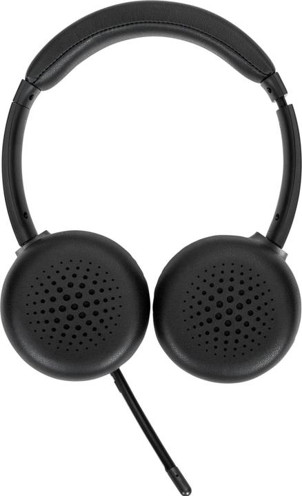 Actual product image Targus Wireless Stereo Headset (Cable, Wireless, USB-C)