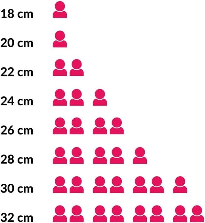 Actual product image Alessi Edo (Frying pan, Stainless steel, Steel, 24 x 7.50 cm)