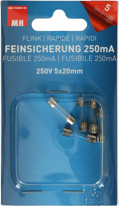 Actual product image Max Hauri Fine-wire fuse (0.25 A)