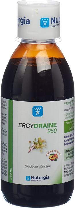Actual product image Nutergia ERGYDRAINE bottle (250ml) (1 Piece, Droplet, 290 g)