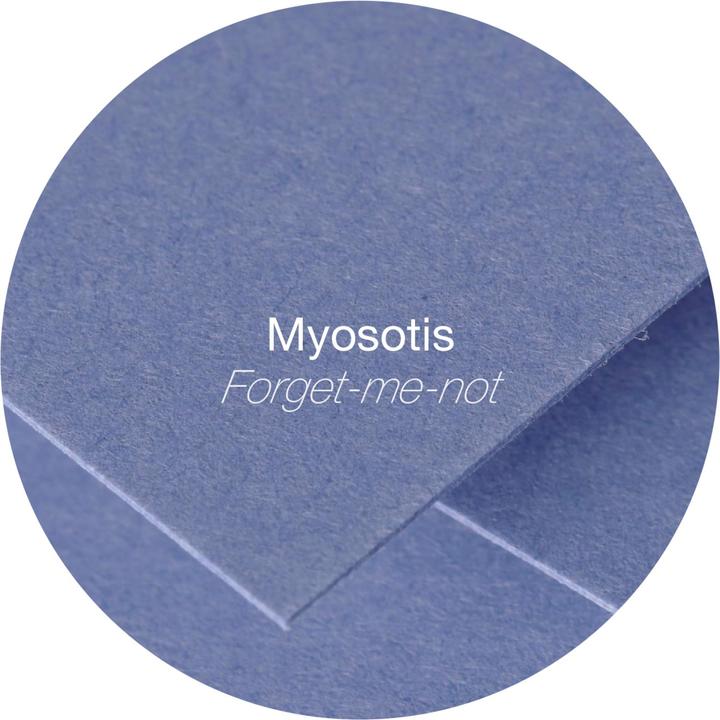Actual product image Pollen Double card (135 x 135 mm, 25 x)