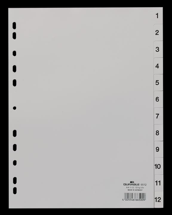 Image du produit Durable Registre PP