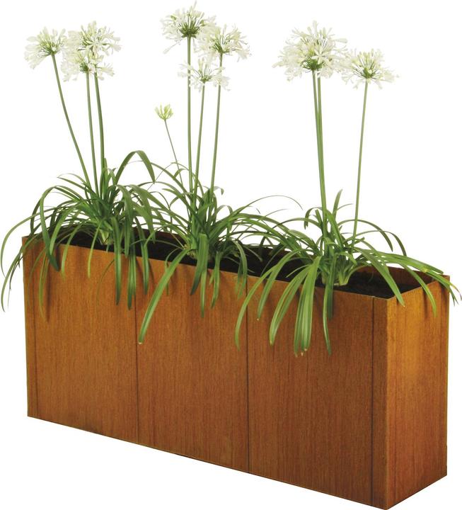 Actual product image Bellissa Classic pannello raised bed kit without base 116 x 44 x 80 cm