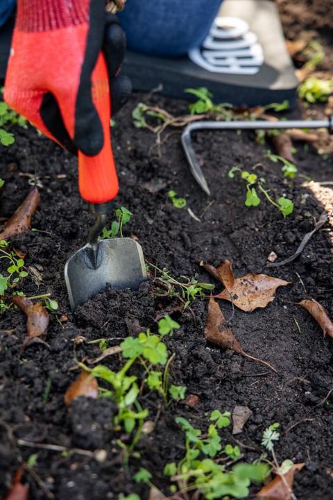 Actual product image Felco 401 Plant trowel