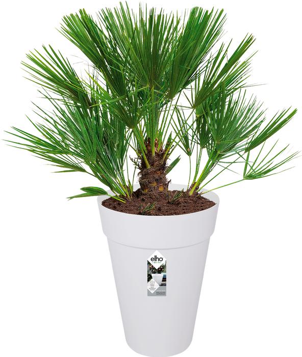 Produktbild Elho Loft Urban (33.50 cm)