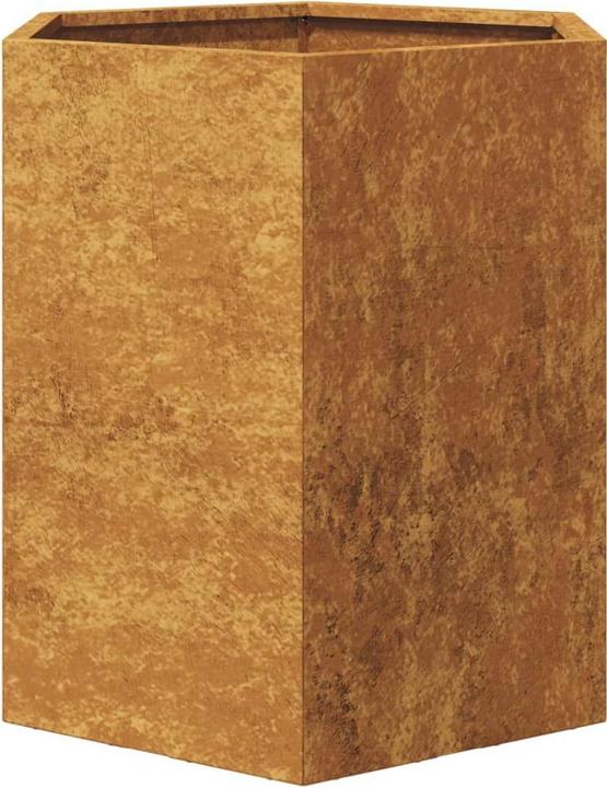 Produktbild vidaXL Gartenpflanzgefäss