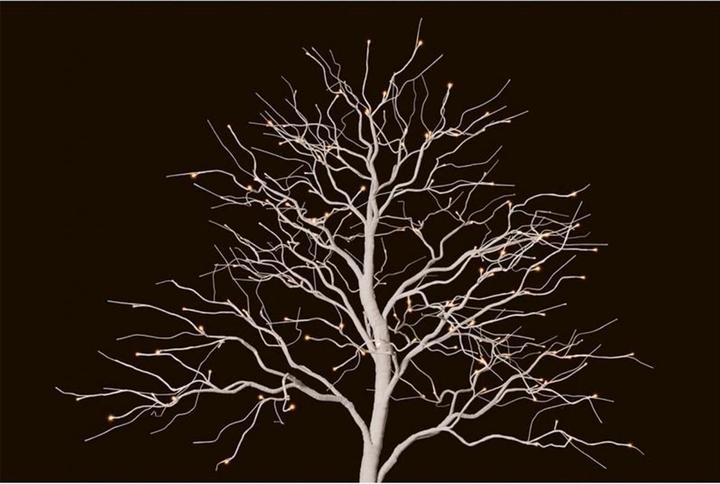 Actual product image STT Fairy tale