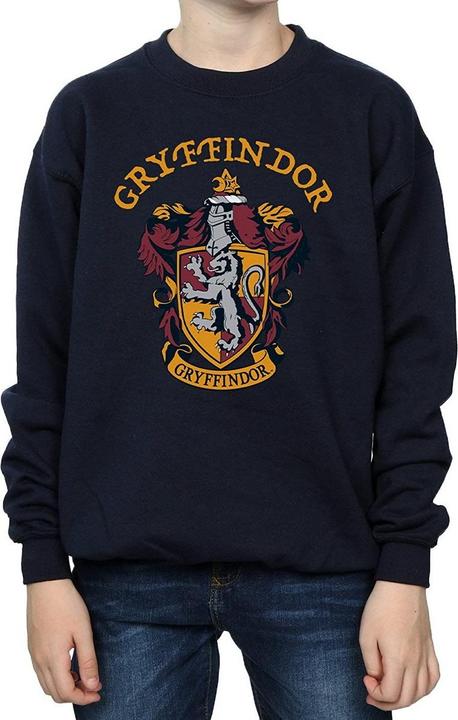 Immagine prodotto Felpa in cotone da ragazzo Grifondoro (128)