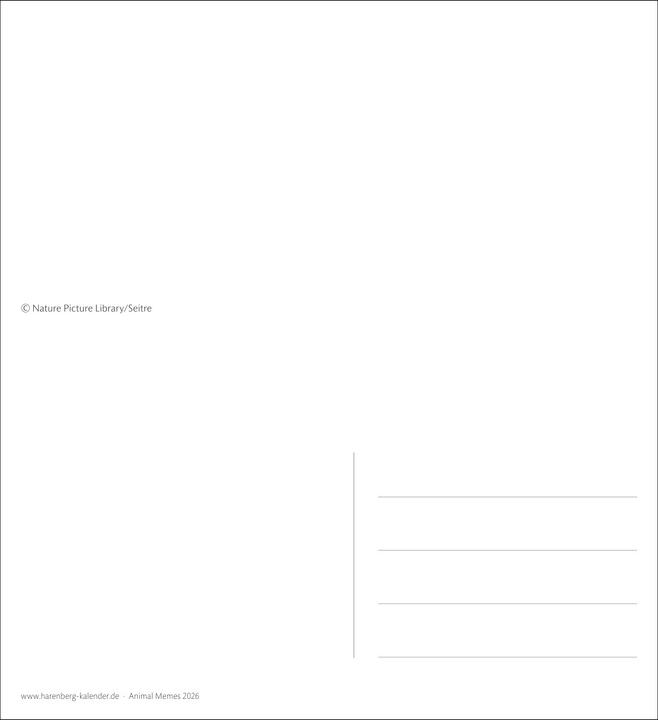 Actual product image Harenberg Animal Memes Postkartenkalender 2026 - 53 tierisch witzige Postkarten (Hardcover, English, German)