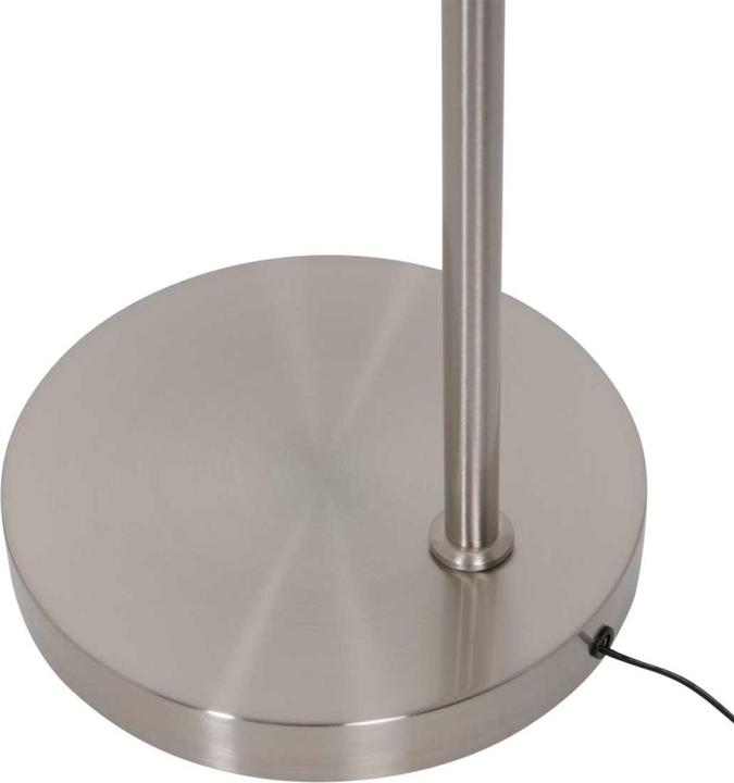 Produktbild Steinhauer Daphne