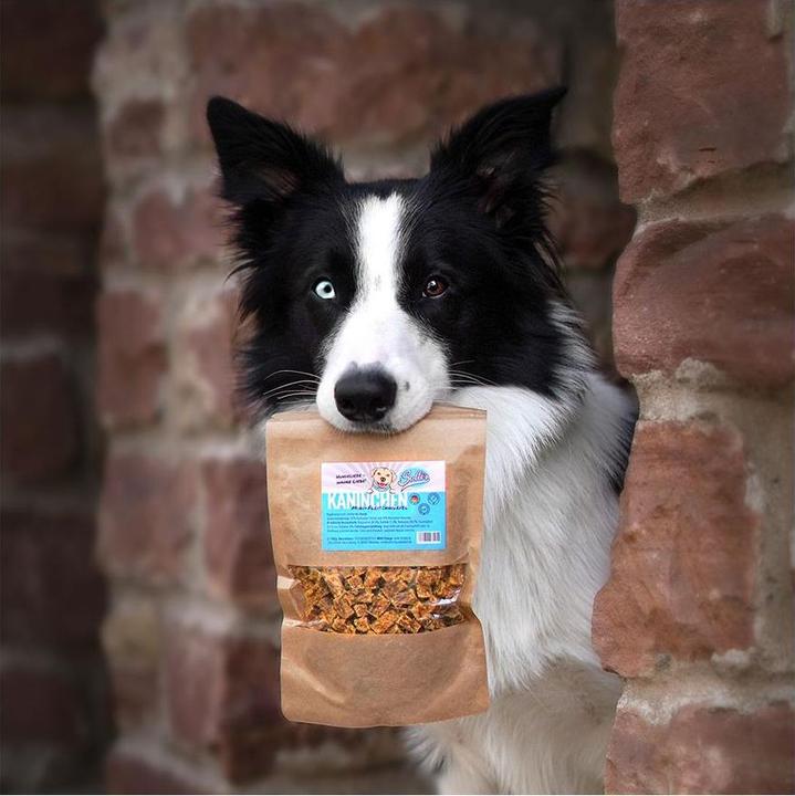 Produktbild Sollis Mini-Fleischwürfel Kaninchen 100g (Adult, 100 g)