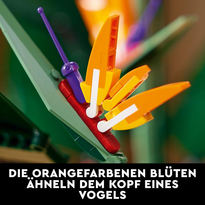 Actual product image LEGO Bird of Paradise (10289, LEGO Rare Sets)