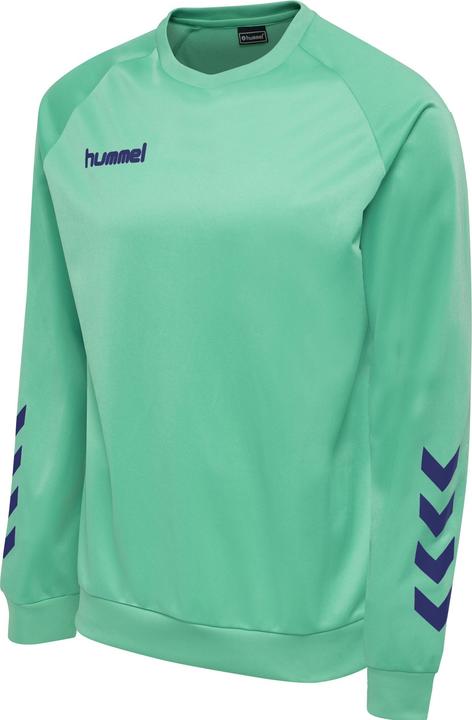Actual product image hummel Promo Kids Poly Sweatshirt (164)