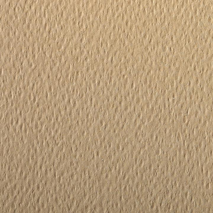 Actual product image Clairefontaine Etival Color paquet 5F A4 160g - Camel (160 g/m², 5x)