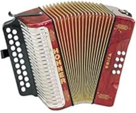 Hohner Accordéon diatonique en sol-do, 42 notes, avec sangle d'épaule (Accordéon de piano)
