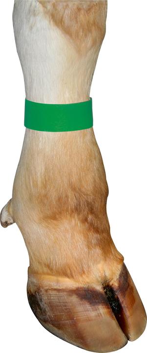 Image du produit Kerbl Bandes de marquage vert Velcro. (10 pcs. en boîte)