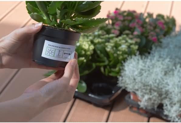Immagine prodotto Herma Etichette resistenti alle intemperie A4 rimovibili