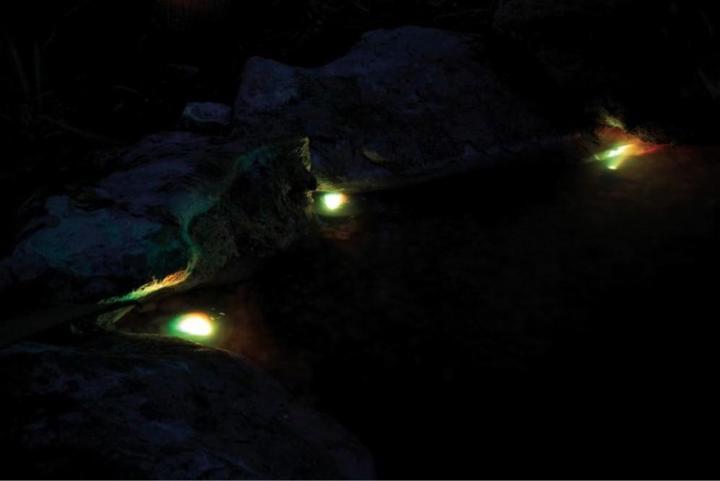 Actual product image Pontec Pond lighting PondoStar LED RW Set 3