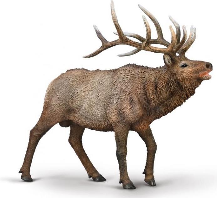 Actual product image Collecta Wapiti