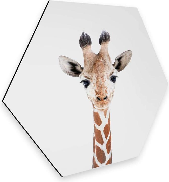 Actual product image Trenddeko Baby giraffe (25 x 22 cm)