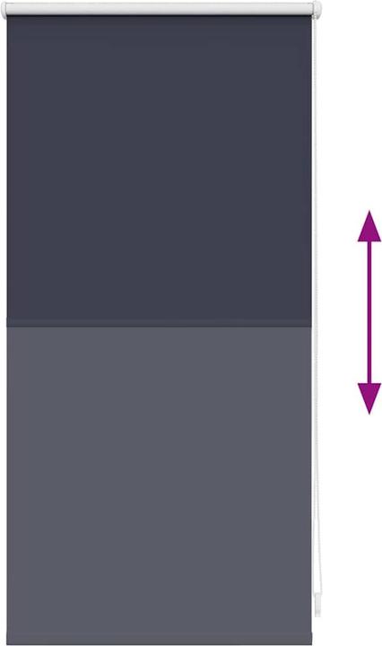 Produktbild vidaXL Verdunkelungsrollos (40 x 100 cm)