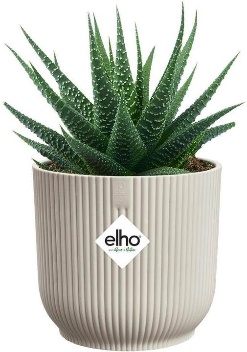 Image du produit Elho Vibes (9 x 9 cm)