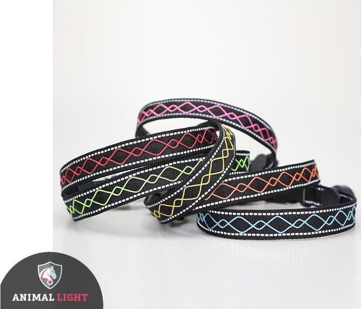 Actual product image Animal Light Luminous dog collar Beauty (S, Dog, General)
