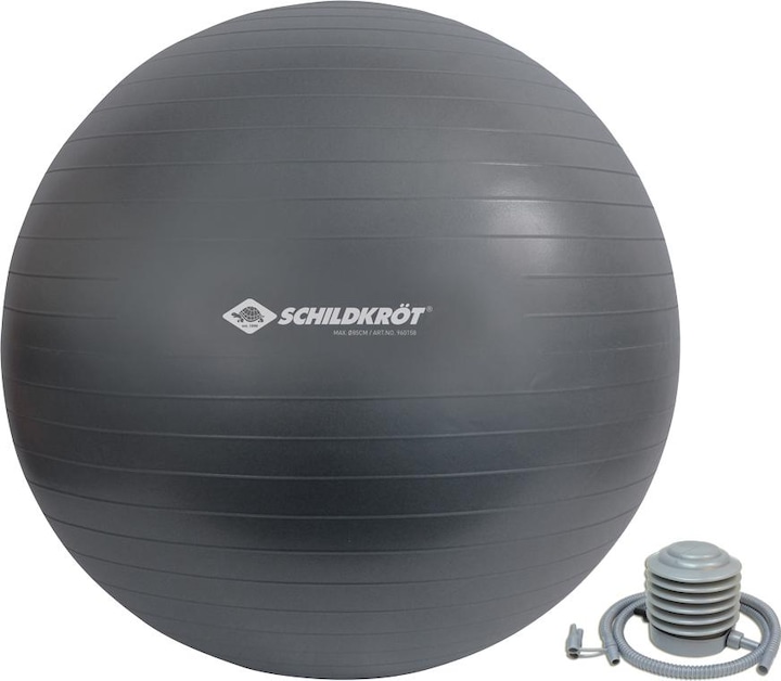 Actual product image Schildkröt Exercise ball (85 cm)