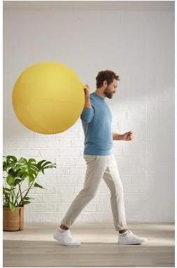Image du produit Leitz Ballon-siège Ergo Cosy Active (65 cm)