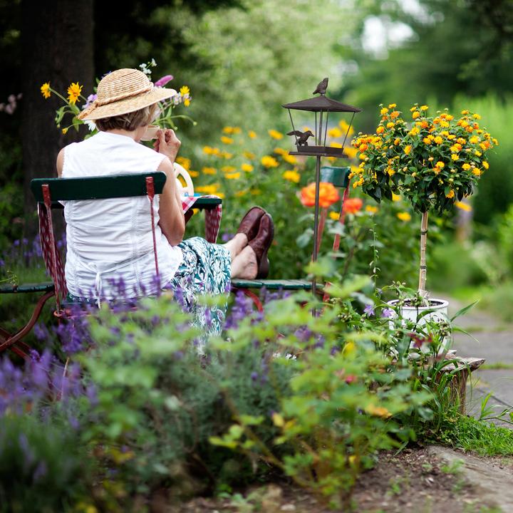 Produktbild Relaxdays Vogelfutterhaus