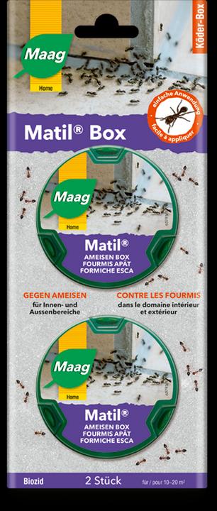 Immagine prodotto Maag Scatola di formiche Matil (2 ml)