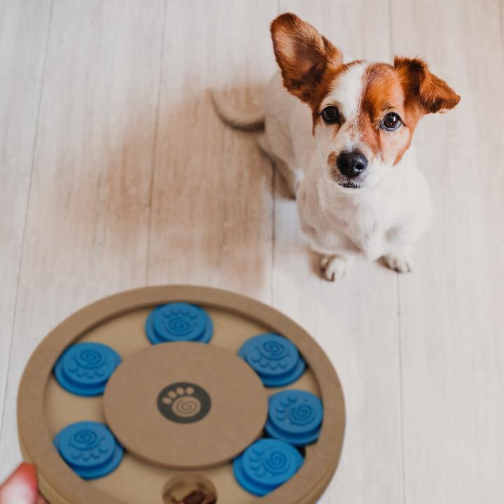 Actual product image Relaxdays Dog intelligence toy (Intelligence toy dog)