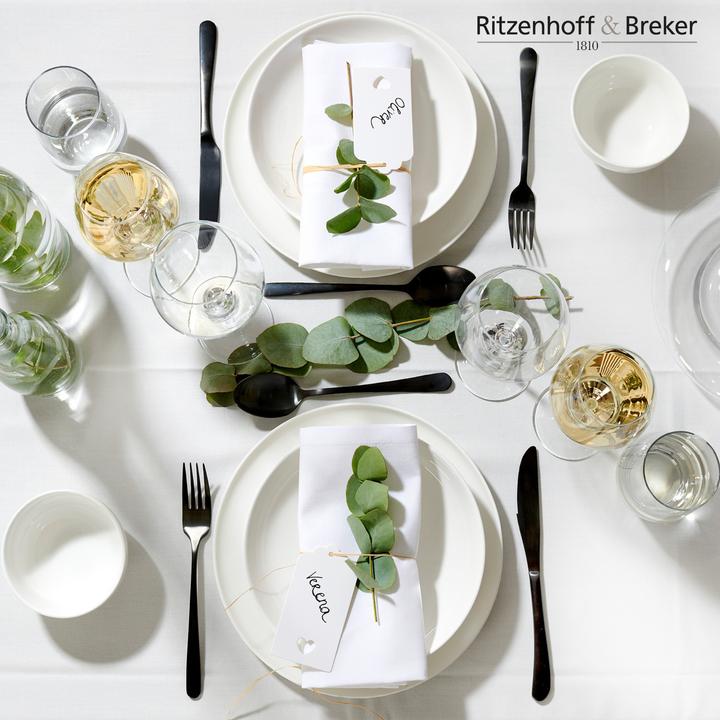 Actual product image Ritzenhoff & Breker Skagen (12 Piece)