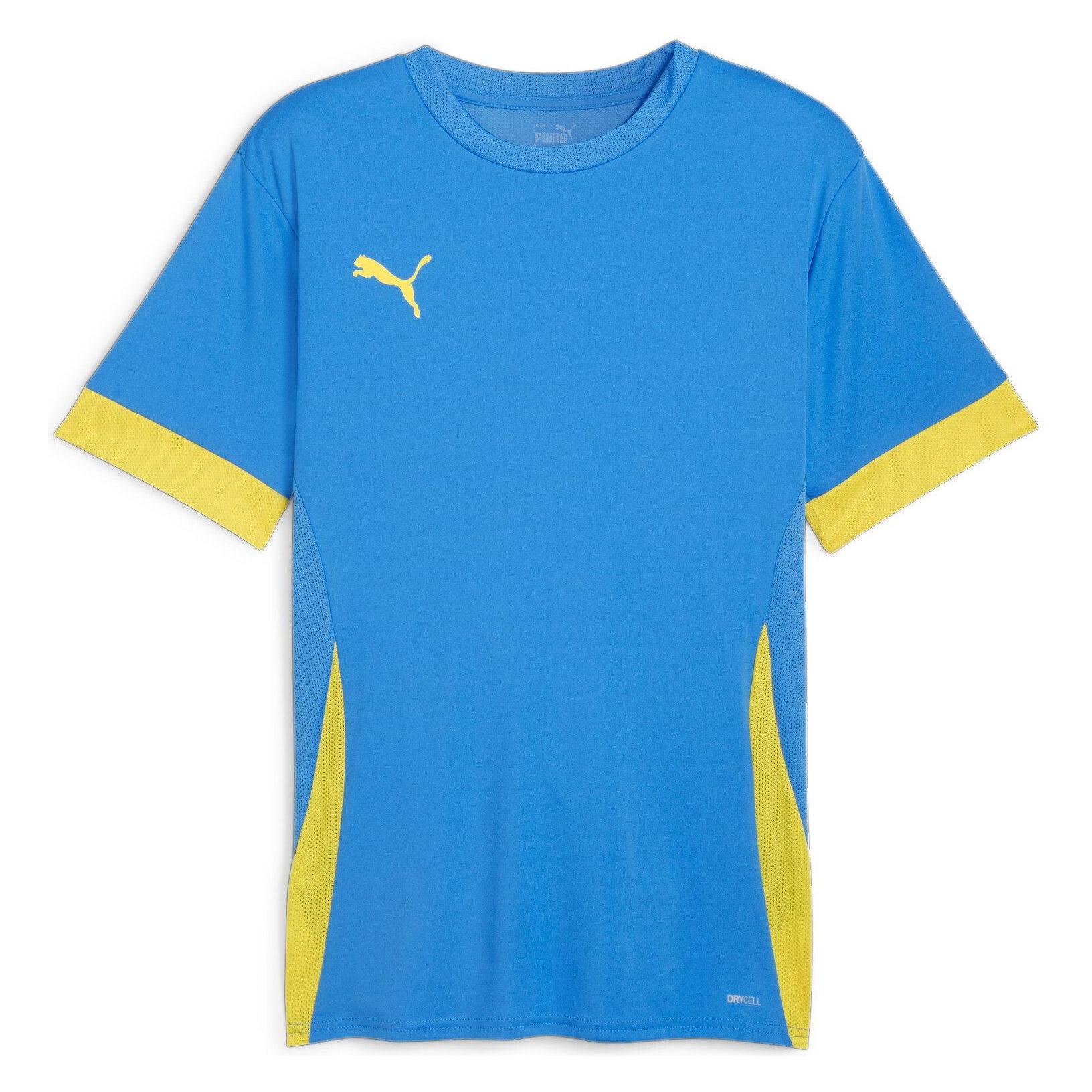 Puma, Mannen, Sportief Shirt, TeamGOAL Wedstrijd Jersey (Xxl), Blauw, Xxl