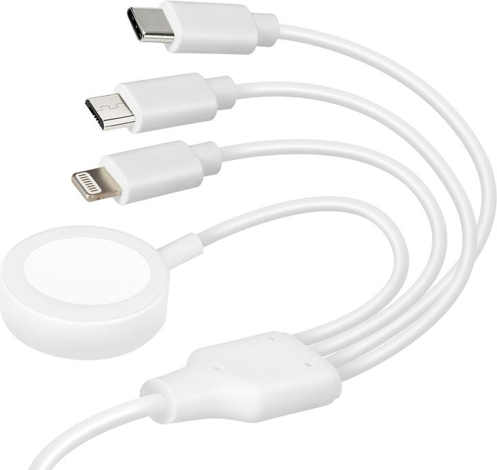 Actual product image Avizar USB-C cable + charger for Apple Watch