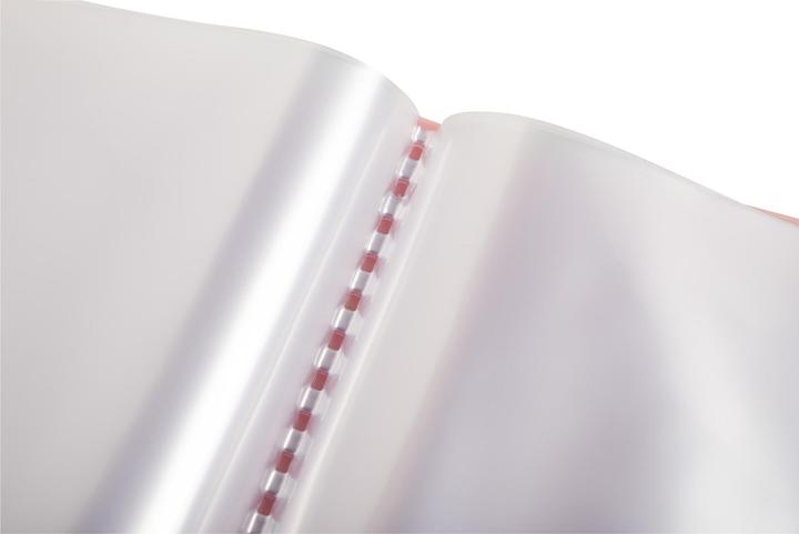 Actual product image Exacompta Sichtmappen (A5, 480 x)