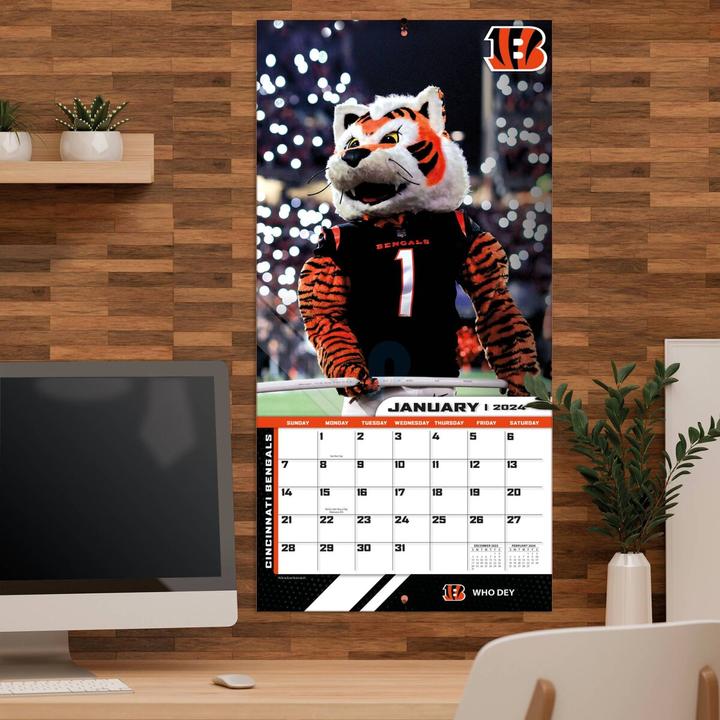 Actual product image NFL - NFL Maskottchen - 30,5 x 30,5 cm Wall Calendar 2024
