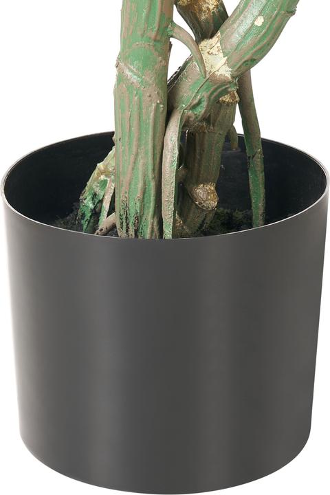 Immagine prodotto Beliani Monstera (165 cm)