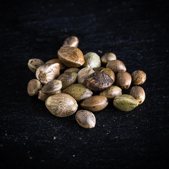 Immagine prodotto KoRo Bio Hanfsamen ungeschält (1000g) (1000 g)