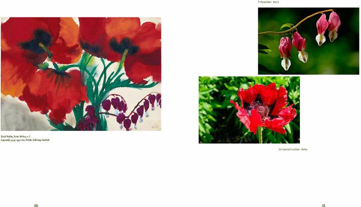 Immagine prodotto Der Garten von Emil Nolde (Tedesco, Magdalena Moeller, 2025)