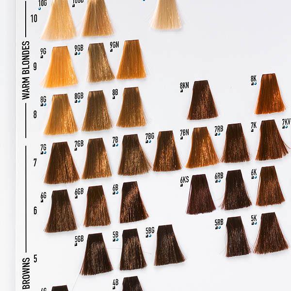 Produktbild Goldwell Farbkarte Topchic
