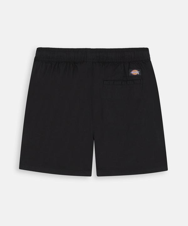 Image du produit Dickies Vale Short W (S)