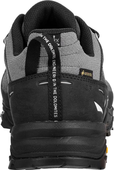 Image du produit Salewa Alp Trainer 2 GTX (43)